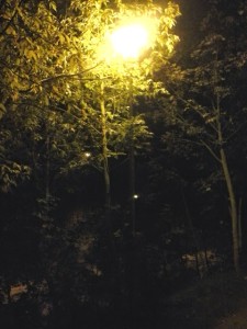 20141007_221956