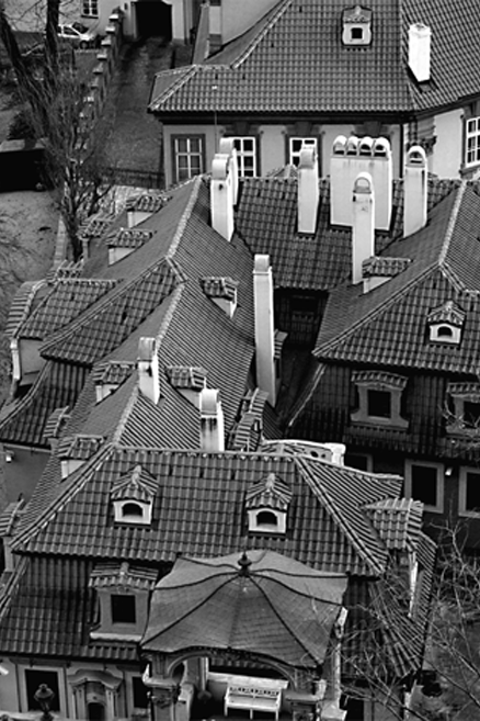 střechy-